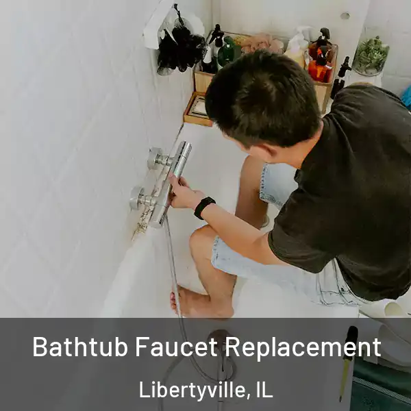  Bathtub Faucet Replacement Libertyville, IL
