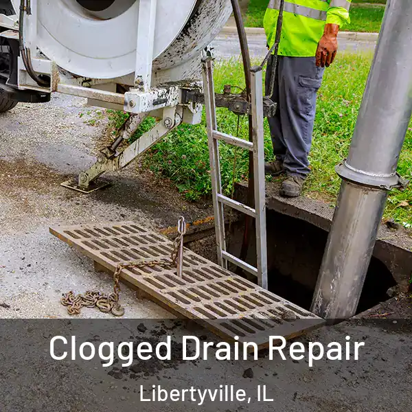  Clogged Drain Repair Libertyville, IL