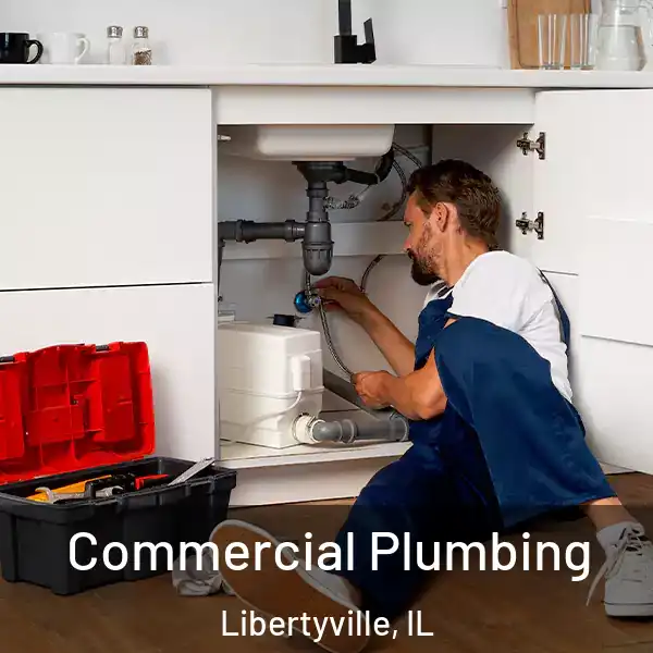  Commercial Plumbing Libertyville, IL