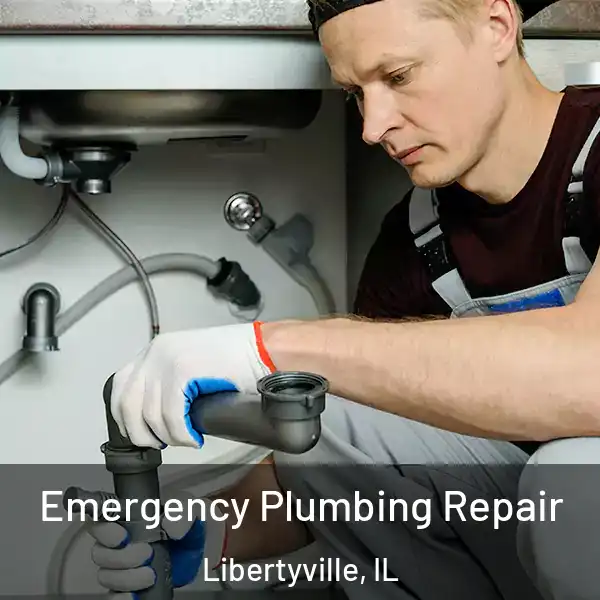  Emergency Plumbing Repair Libertyville, IL