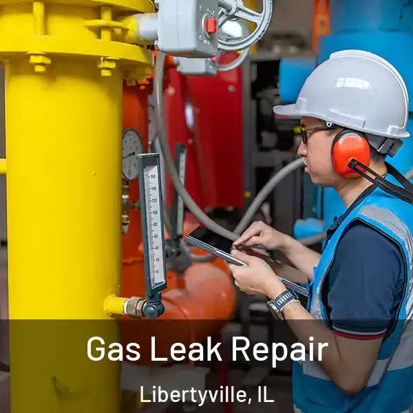  Gas Leak Repair Libertyville, IL