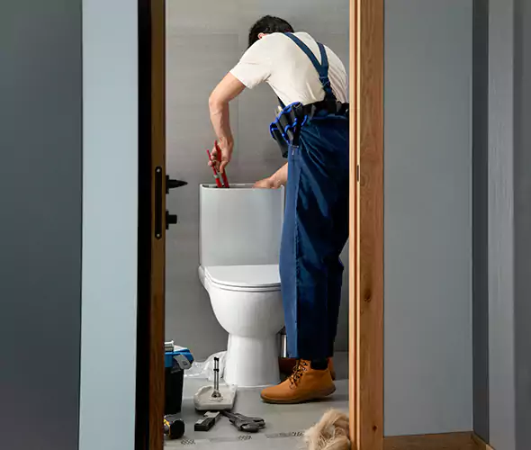 Professional Plumbers for Toilet Bowl Replacement in Libertyville, IL: Schedule Affordable Toilet Replacement Services With Us