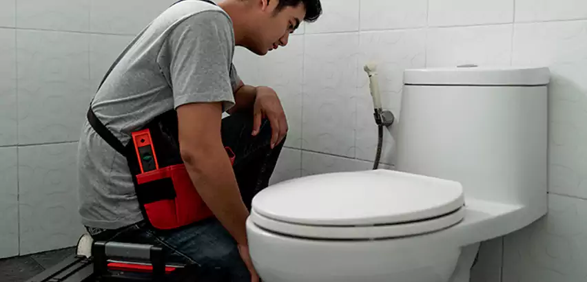 Toilet Repair in Libertyville