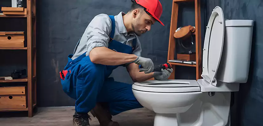 Commode Repair in Libertyville, IL