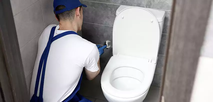 Toilet Lid Replacement in Libertyville