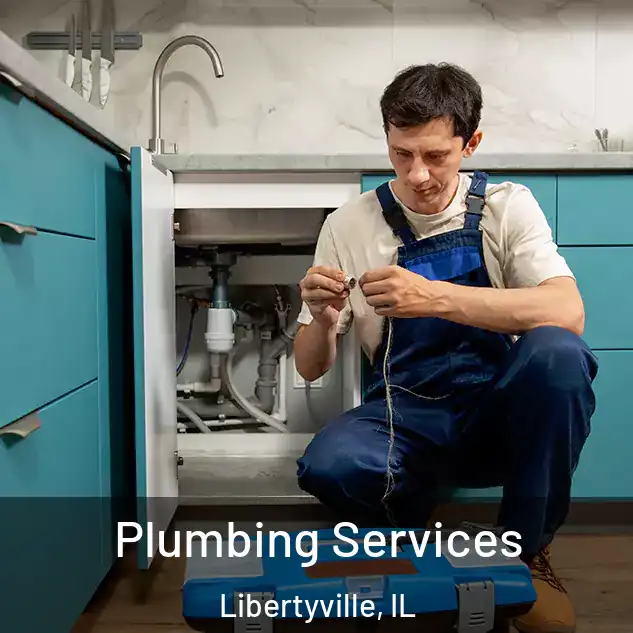 Plumbing Services Libertyville, IL