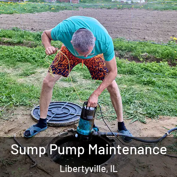  Sump Pump Maintenance Libertyville, IL