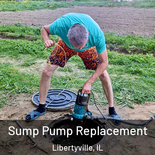  Sump Pump Replacement Libertyville, IL