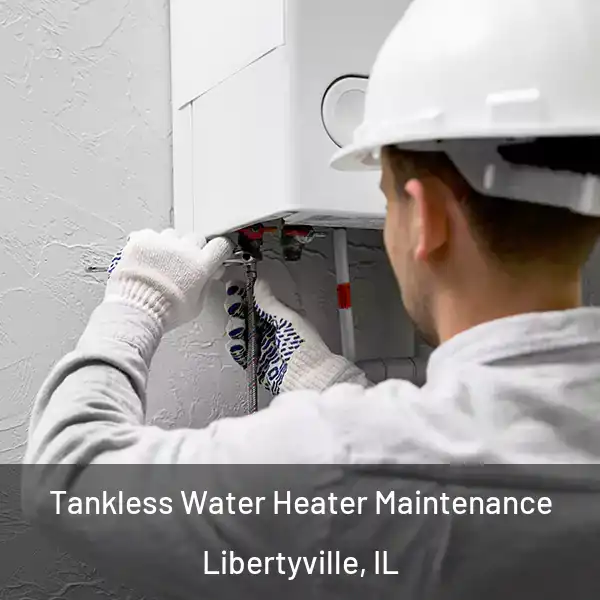  Tankless Water Heater Maintenance Libertyville, IL