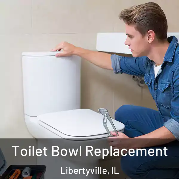  Toilet Bowl Replacement Libertyville, IL