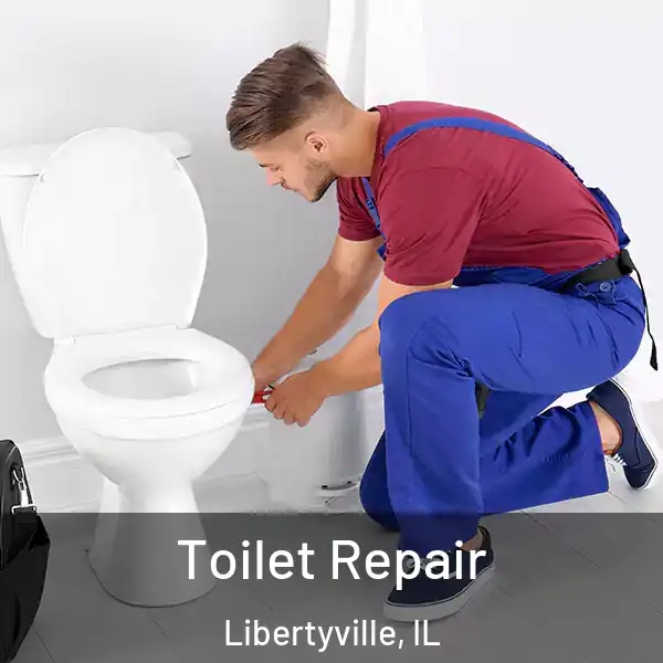  Toilet Repair Libertyville, IL