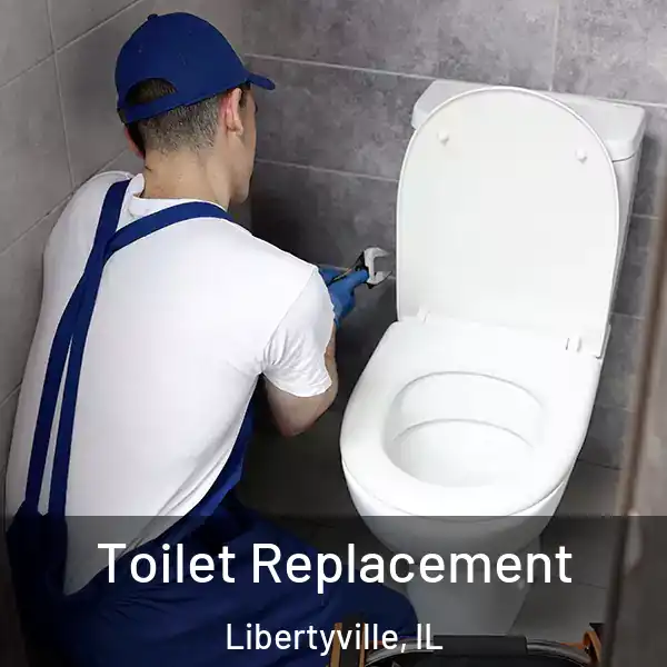  Toilet Replacement Libertyville, IL