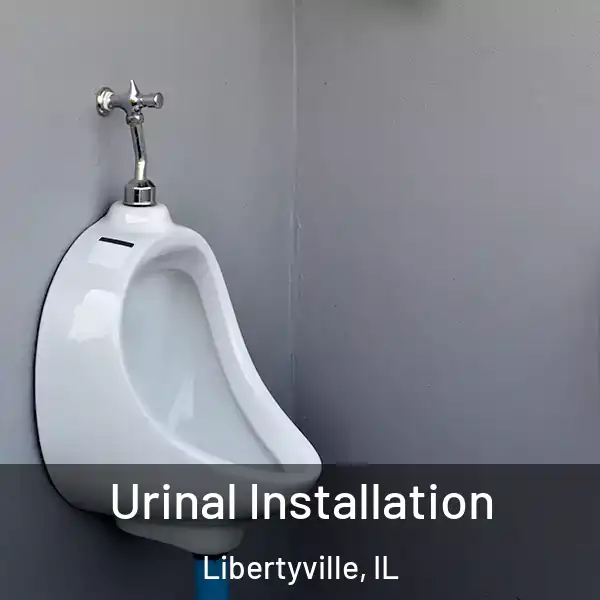  Urinal Installation Libertyville, IL