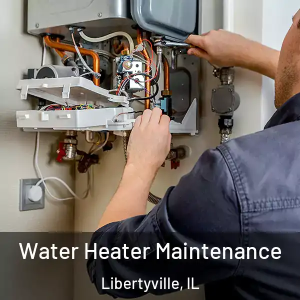  Water Heater Maintenance Libertyville, IL