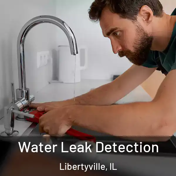  Water Leak Detection Libertyville, IL